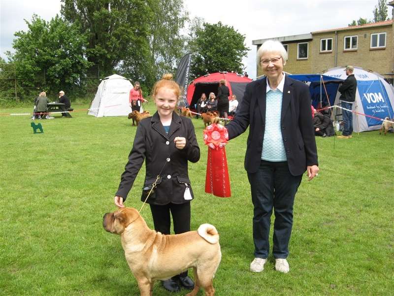 sharpei dag 2019